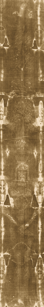 Image of the full length of the Shroud of Turin