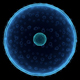 Image of Artificial Cell