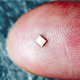 Image of a finger tip with a tiny computer chip resting on it