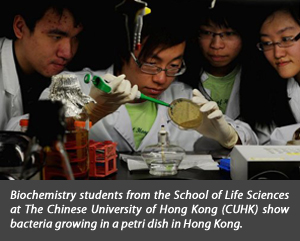 Biochemistry students from the Shool of Life Sciences at the Chinese University of Hong Kong